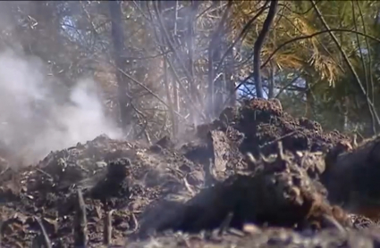 Más de 500 lechones mueren en un incendio