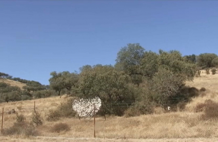 Si la nueva ley sale adelante, no habrá mina de litio en la provincia de Badajoz