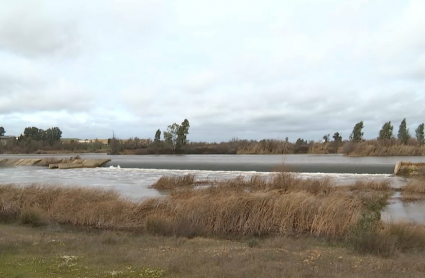 Imagen del azud del río Guadiana a su paso por Badajoz.