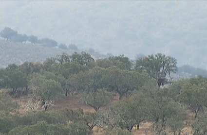 No habrá monterías en Monfragüe
