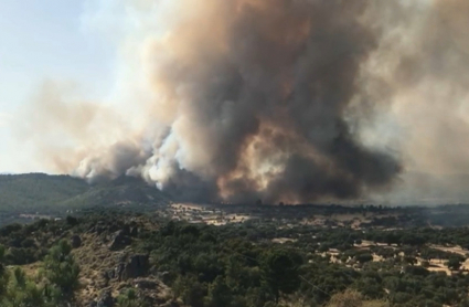 Incendio declarado en Alburquerque.