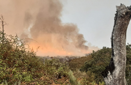 Incendio Villanueva de la Vera