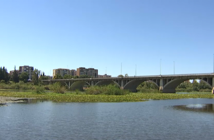 Imagen del nenúfar mexicano en el Guadiana