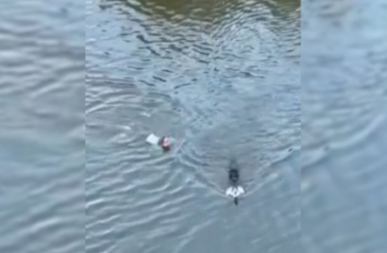 Mujer rescatando a su perro en el Guadiana