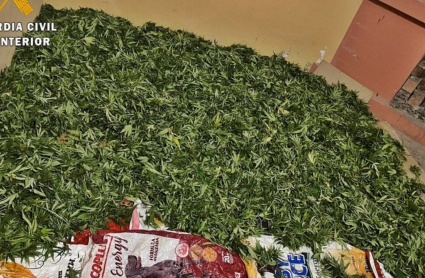 Marihuana interceptada en una furgoneta