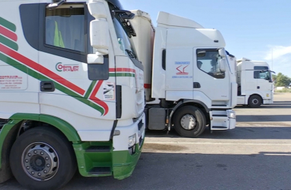 Camiones estacionados en un área de servicio
