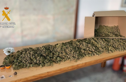 Cogollos de marihuana