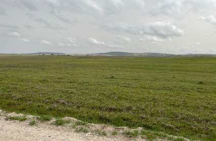 Aeródromo de Cáceres