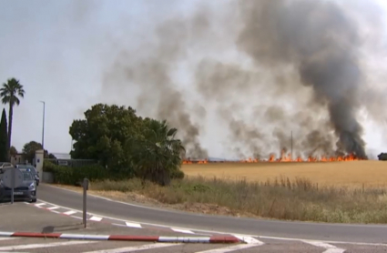 Incendio cercano al tanatorio en Mérida