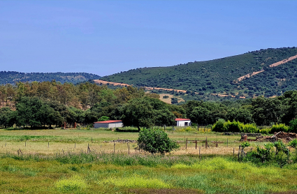 Foto de Juan Antonio Bermejo de Helechosa de los Montes