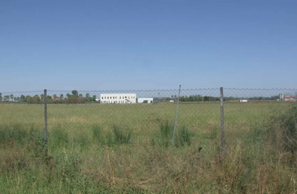 Terrenos donde se ubicará el nuevo polígono industrial de Don Benito que construirá Extremadura Avante.