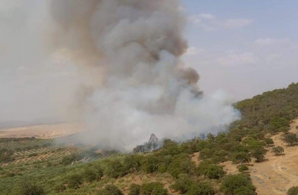Incendio en Puebla de Alcocer