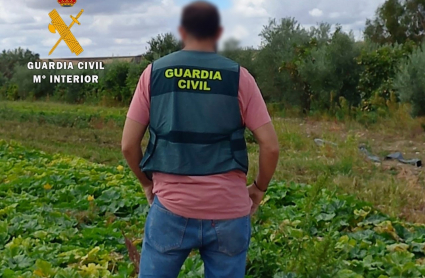 Guardia Civil en el campo