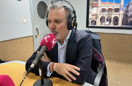 Alcalde de Plasencia, Fernando Pizarro.