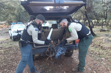 Agentes del medio natural