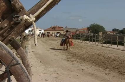Carreras de gallos Albalá