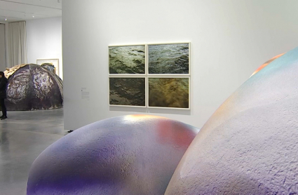 Varias de las obras que se exhiben en el museo 'Helga de Alvear'
