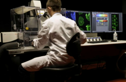 Investigación contra el cáncer