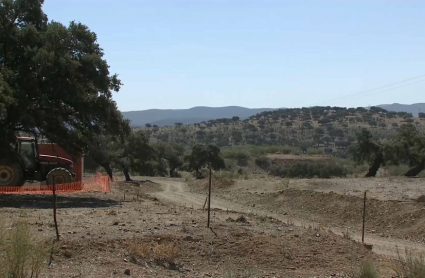 Terrenos para Elysium City