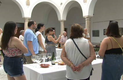 Cata de vinos en Llerena
