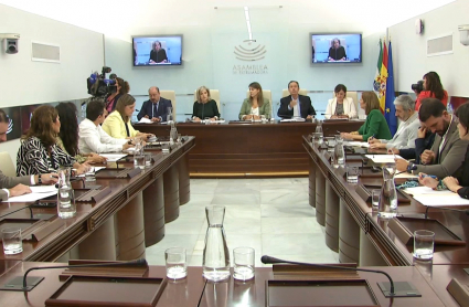 Comisión de cultura
