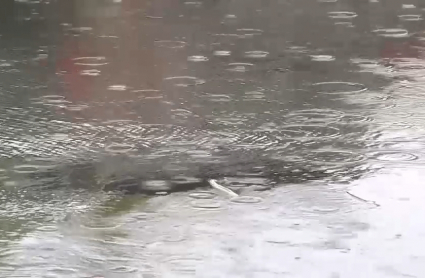 Lluvia en la provincia de Cáceres