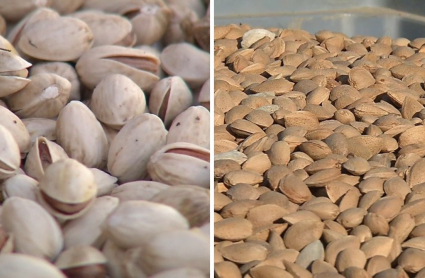 Pistachos y almendras de Extremadura