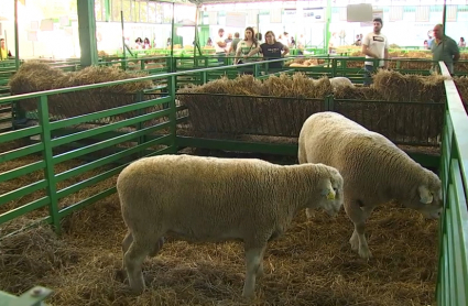 Premios Feria Internacional de Ganadería