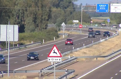 Carrteras en el puente