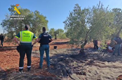 Inspección en una finca de Fuente del Maestre