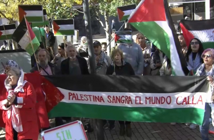 Protesta pro Palestina