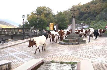 Trashumancia en Extremadura