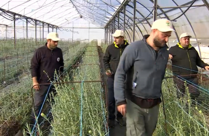Jóvenes agricultores participan en el programa 'Cultiva' en Valdelacalzada