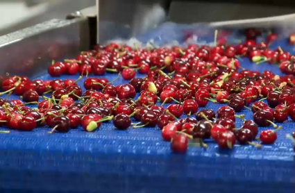 Cerezas