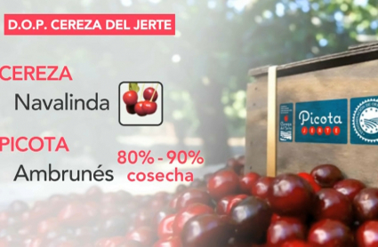 Cerezas y picotas