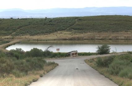 Reforestación en La Vera